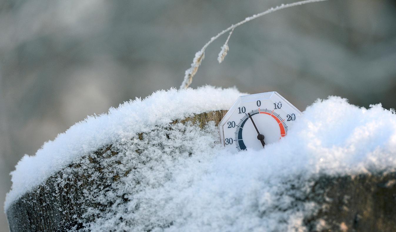 I landets nordligaste delar kan det lokalt bli nedåt minus 30 grader. Arkivbild. Foto: Anders Wiklund/TT