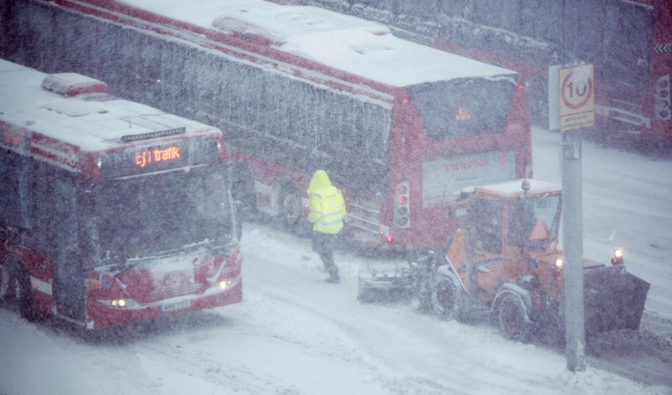 Ett hundratal busslinjer i Stockholms län har ställts in under onsdagen. Foto: Lars Schröder/TT