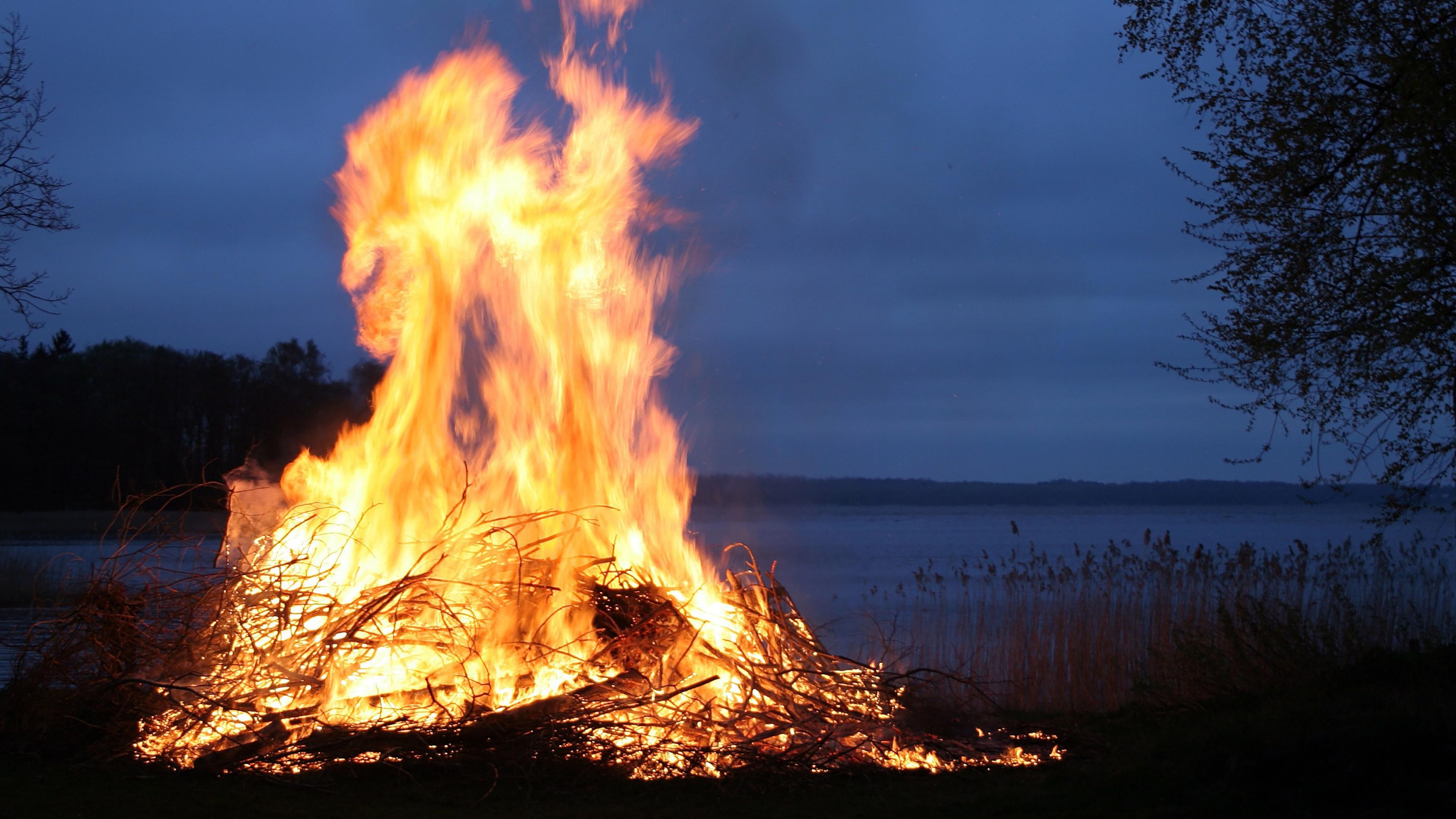 Nya EU-regler har gjort att vissa kommuner förbjudit privat eldning av trädgårdsavfall. 
Foto: Shutterstock